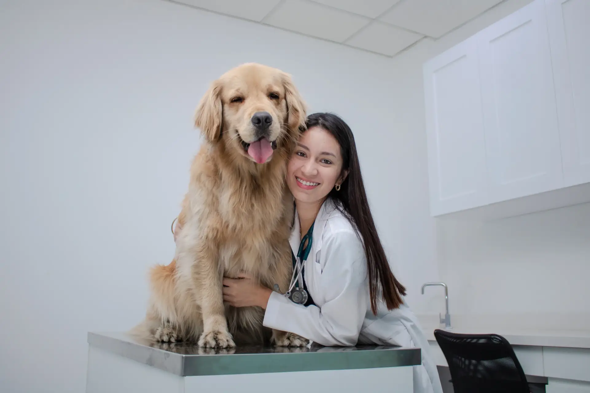 LatePeru - Veterinaria en Lima